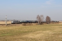 IMG_7579-09-03-25.jpg