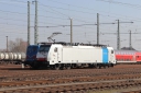 IMG_7567-09-03-25.jpg