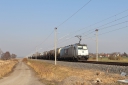 IMG_7630-09-03-25.jpg