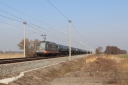 IMG_7597-09-03-25.jpg
