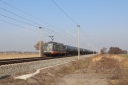 IMG_7599-09-03-25.jpg