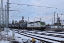 IMG_7505-12-01-25.jpg