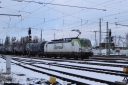 IMG_7507-12-01-25.jpg