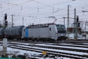 IMG_7509-12-01-25.jpg